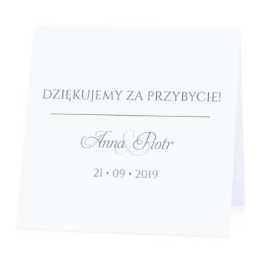 Winietka weselna z gipsówką