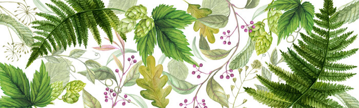 grafika kwiatów na zaproszenia ślubne paproć