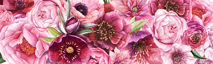 grafika kwiatów na zaproszenia ślubne piwonie