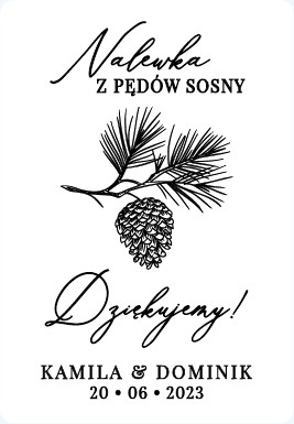 Pędy sosny