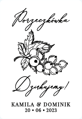 Porzeczkówka