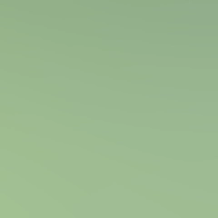 matcha tea (zielona)