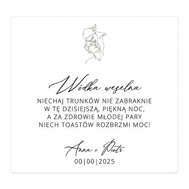 Naklejki na alkohol Misty w101