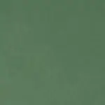 sequoia - ciemna zieleń