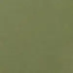 wasabi - wojskowa zieleń